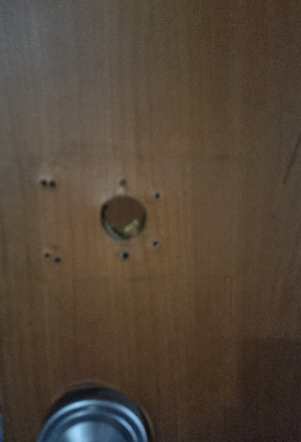 영등포구 도림동 출장 — 나무색 문에 뚫린 둥근 구멍과 주위의 나사 자국, 아래쪽의 은색 둥근 손잡이